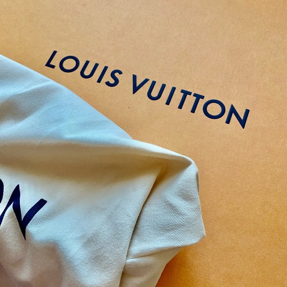 Louis Vuitton Palm Springs PM main image 8